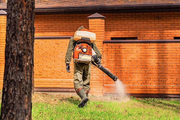 Trusted Rodent Control service in Coon Rapids, IA - Nex Pest Control